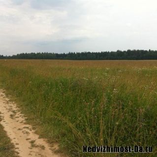 Продается земельный участок  12 соток, 80км по Минскому ш. Рузский р-н.