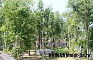 Лесной участок в Новой Москве