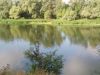 Участок у озера в Талдомском районе дер.Ново-Никольское