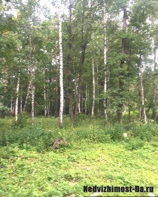 Лесной участок 12,5 соток, окраина г. Наро-Фоминска, Киевское ш. 58км от МКАД. Возможно увеличение.