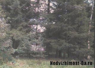 9 лесных смежных уч-ов, д. Бунчиха, Новая Москва, Калужское ш. 50 км от МКАД