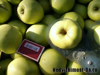 Плодоносящий яблоневый сад в Крыму 4,8 Га (Свидетельство, документы готовы)