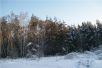 Лесной участок 8 сот. на окраине г. Домодедово, 16 км от Мкад