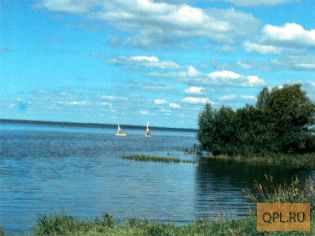 Продажа земли в Ярославской области возле Плещеева озера.