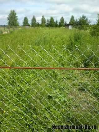 Продам участок Новорижское шоссе в д. Трулиси Волоколамский р МО