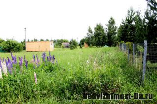 Участок 6,82 сотки   в СНТ «Ланьшино»  