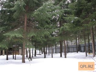 Продается лесной участок 16 соток, Киевское шоссе, 35 км от МКАД, кп Новоглаголево.