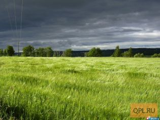 Продам земельные участки в Орловской области