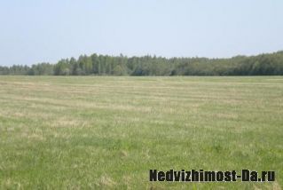 Участок сельхозназначения Переславский район недорого
