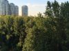 Уменьшенная картинка