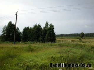 Продам участок 20 Га д.Цыплино.