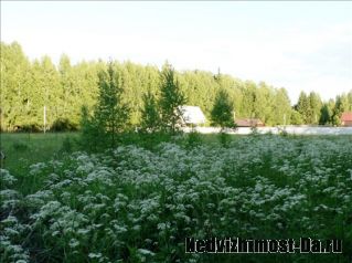 Продается участок 10 сот.,д.Крюково,СНТ"Дельфин".