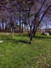 Уменьшенная картинка