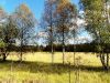 Уменьшенная картинка