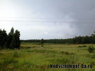 Продается участок 6Га,д.Цыплино,МО,Можайский р-н.