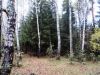Уменьшенная картинка