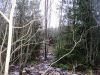 Уменьшенная картинка