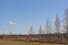 Уменьшенная картинка