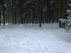 Уменьшенная картинка