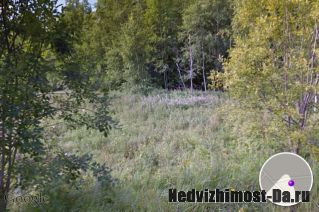Выборг п Раппатилы 12 соток ИЖС