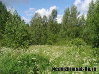П Перово, СТ Петровское 5 соток