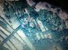 П Луговое 20 соток ИЖС 300 м до Финского залива