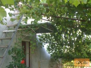 Обмен дома в Молдавии на недвижимость в РФ