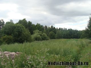 ЛО п Соколинское 10 соток ИЖС берег реки Дремы выход в ФЗ