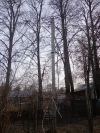 Уменьшенная картинка