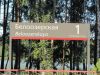 Уменьшенная картинка
