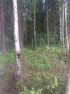 Уменьшенная картинка