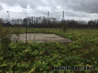 Продажа участка. Ленинградская обл., д.Шпаньково