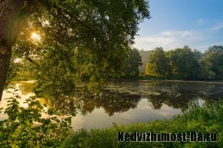 Продаю земельный участок 1 ГА (100 соток) 