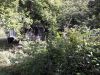 Уменьшенная картинка