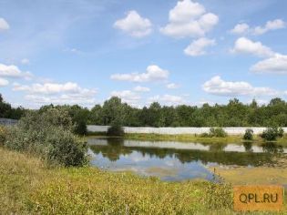 Отличные участки в красивом месте