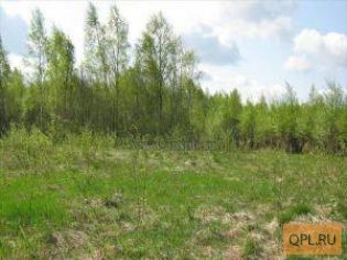 Участок 150 соток продам 4 км  г Сясьстрой Ладожское озеро