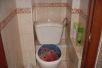 Уменьшенная картинка