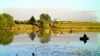 Уменьшенная картинка